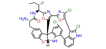 Diazonamide D